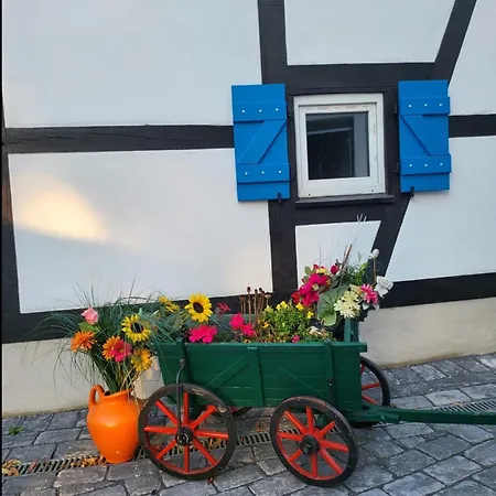 Ny-golden Apartments-dortmund Airport