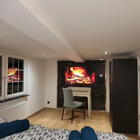 公寓 Ny-golden Apartments-dortmund Airport *